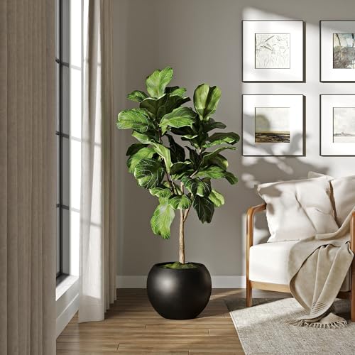 Black Round Sphere Planter Modern, Medium