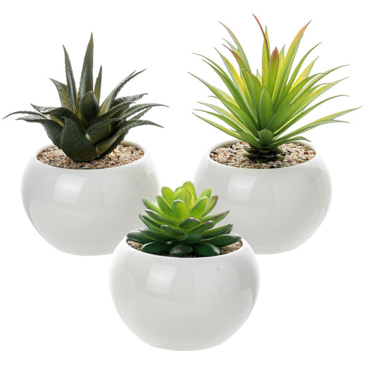 White Artificial Succulents Set in Round, White Ceramic Pots