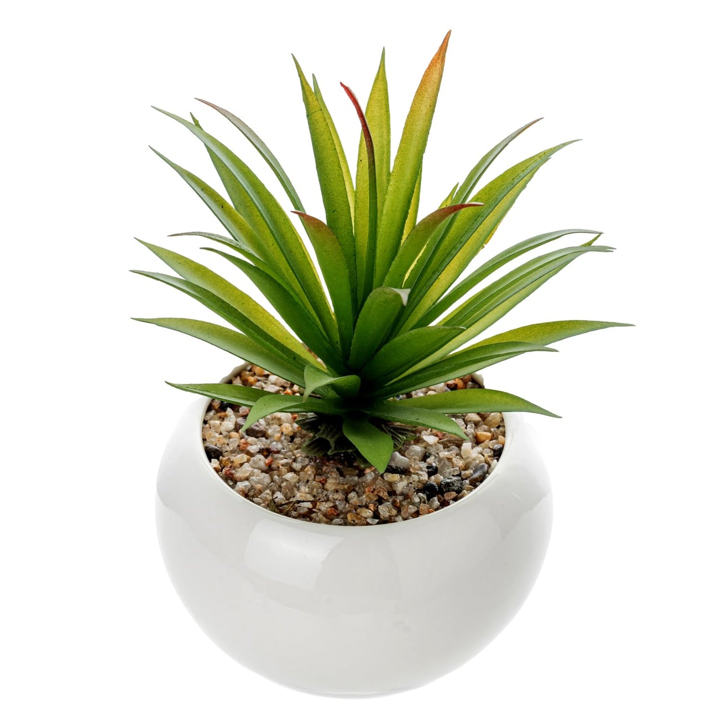 White Artificial Succulents Set in Round, White Ceramic Pots