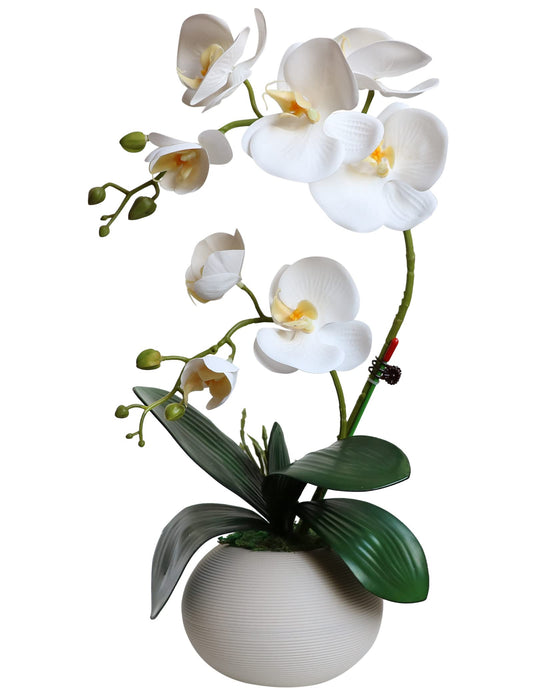 White Orchid Artificial Flowers with Vase