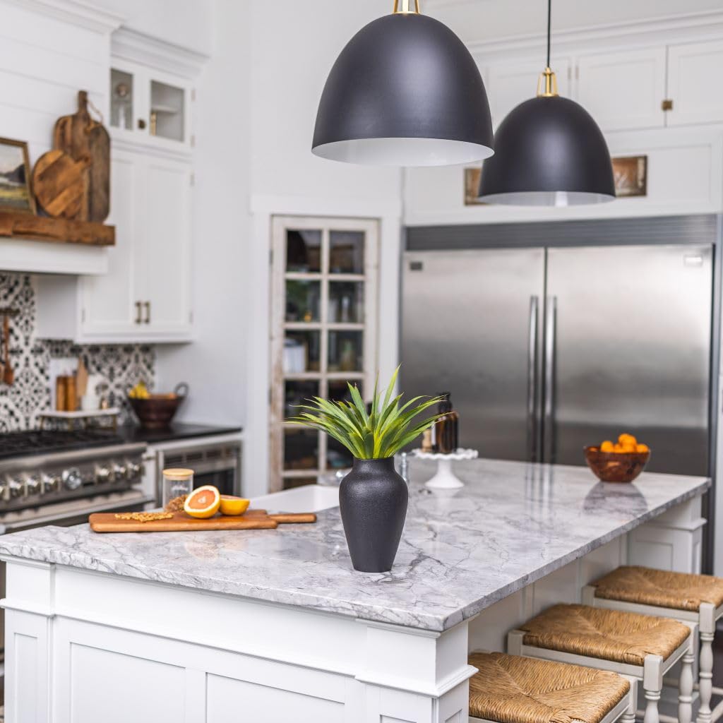 Black Vase Textured, Succulents Set