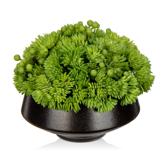 Green Faux Succulents Plant in Black Ceramic Pot