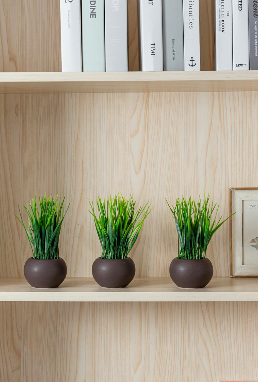 Modern Faux Grass Plant Set in Small Round, Brown Ceramic Pots