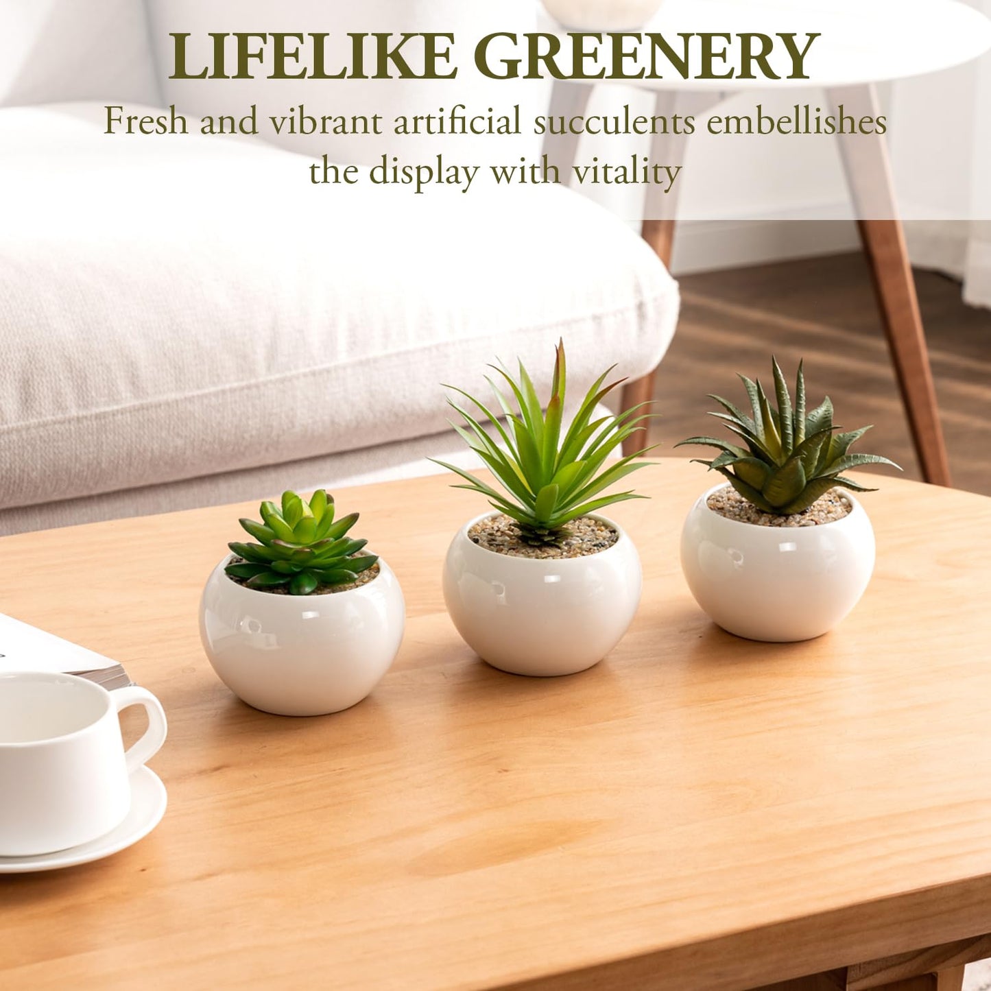 White Artificial Succulents Set in Round, White Ceramic Pots