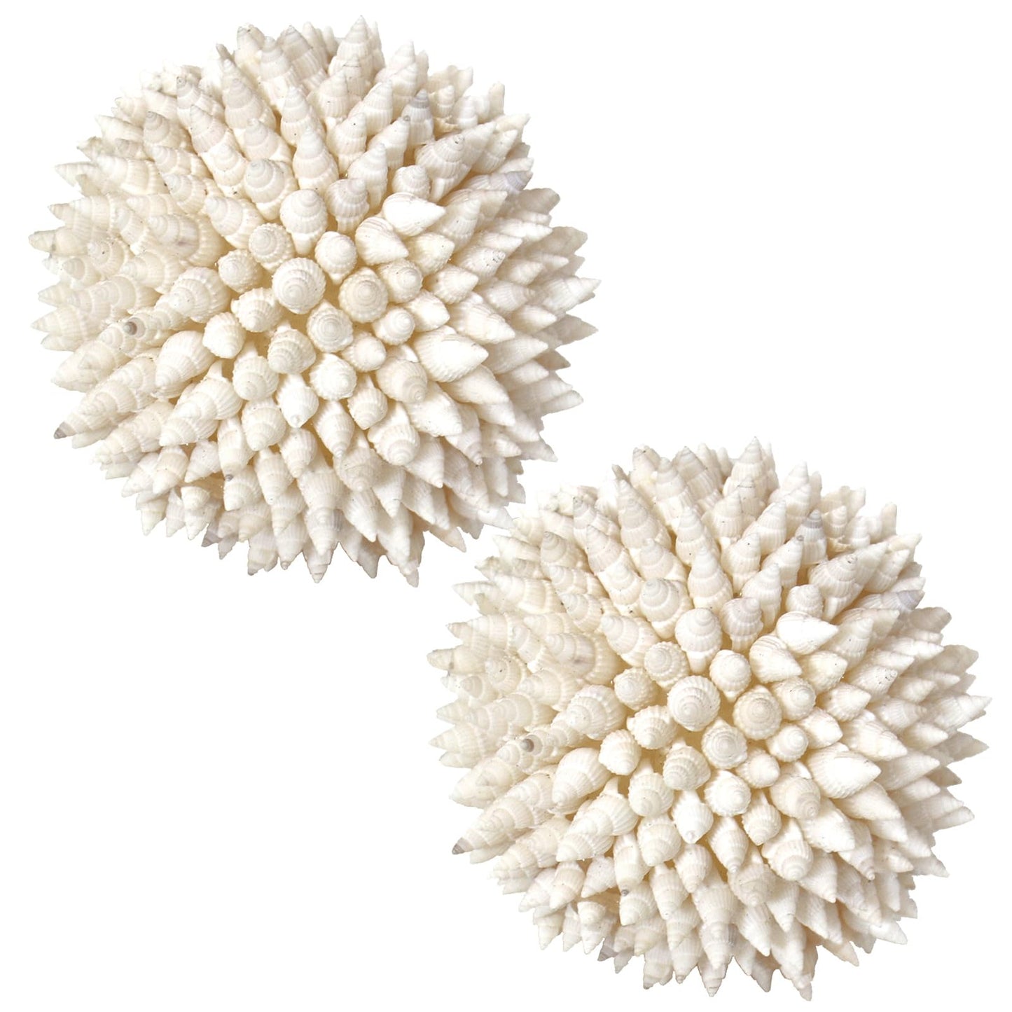 White Balls Decor Seashells, Handmade