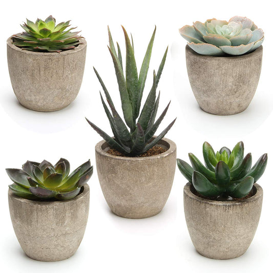 Artificial Succulent Plant Set Potted
