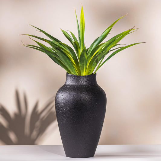 Black Vase Textured, Succulents Set