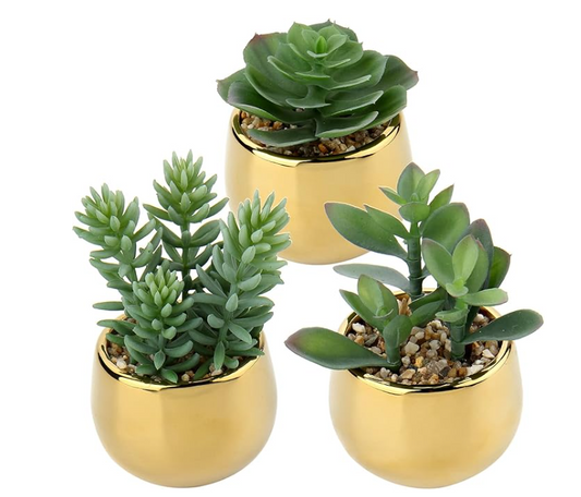 Faux Succulents Plants with Gold Ceramic Pots