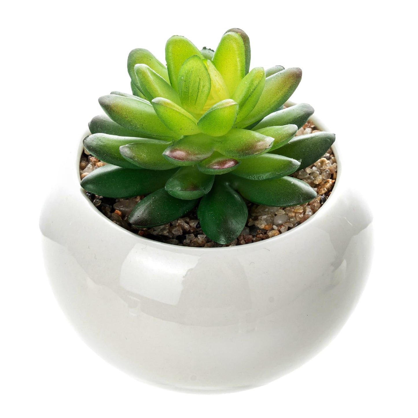 White Artificial Succulents Set in Round, White Ceramic Pots
