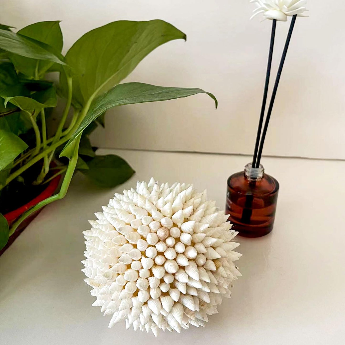 White Balls Decor Seashells, Handmade