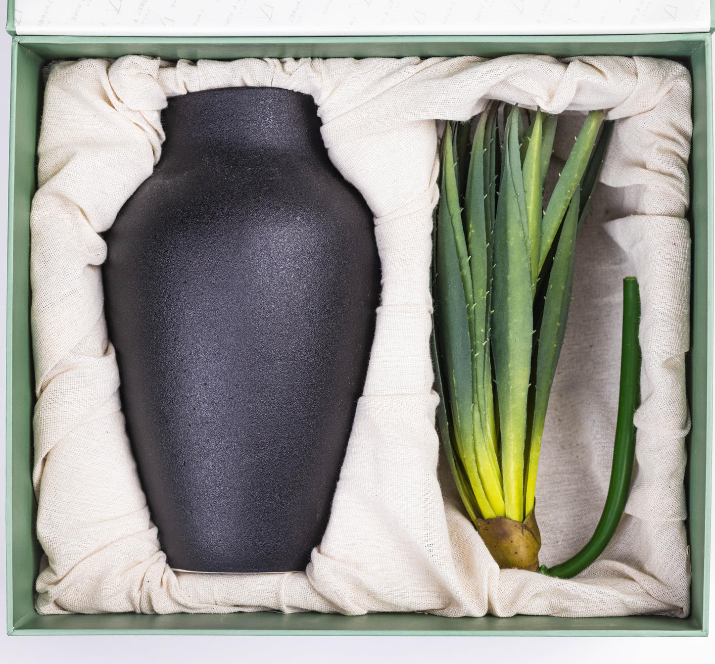 Black Vase Textured, Succulents Set