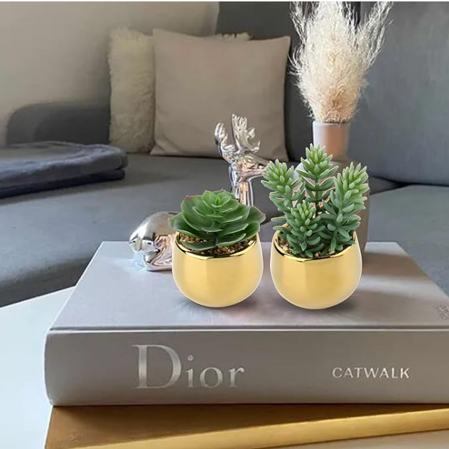 Faux Succulents Plants with Gold Ceramic Pots